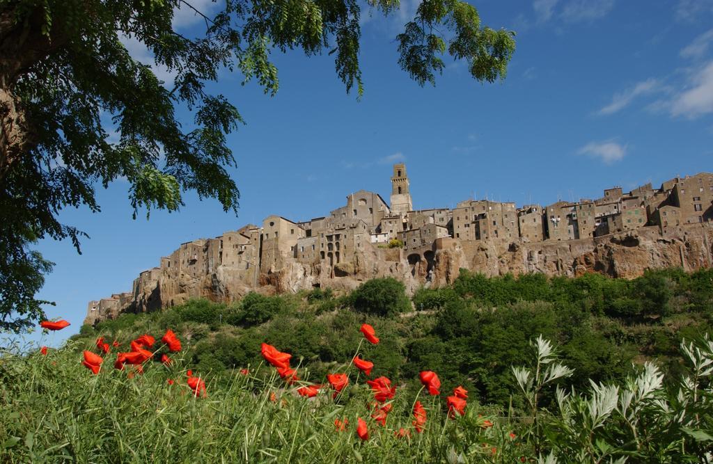 Casa Marta Villa Pitigliano Oda fotoğraf