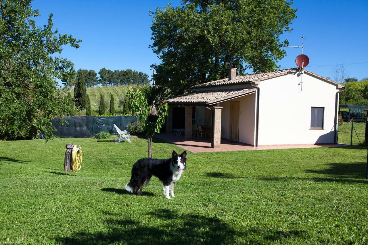 Casa Marta Villa Pitigliano Oda fotoğraf